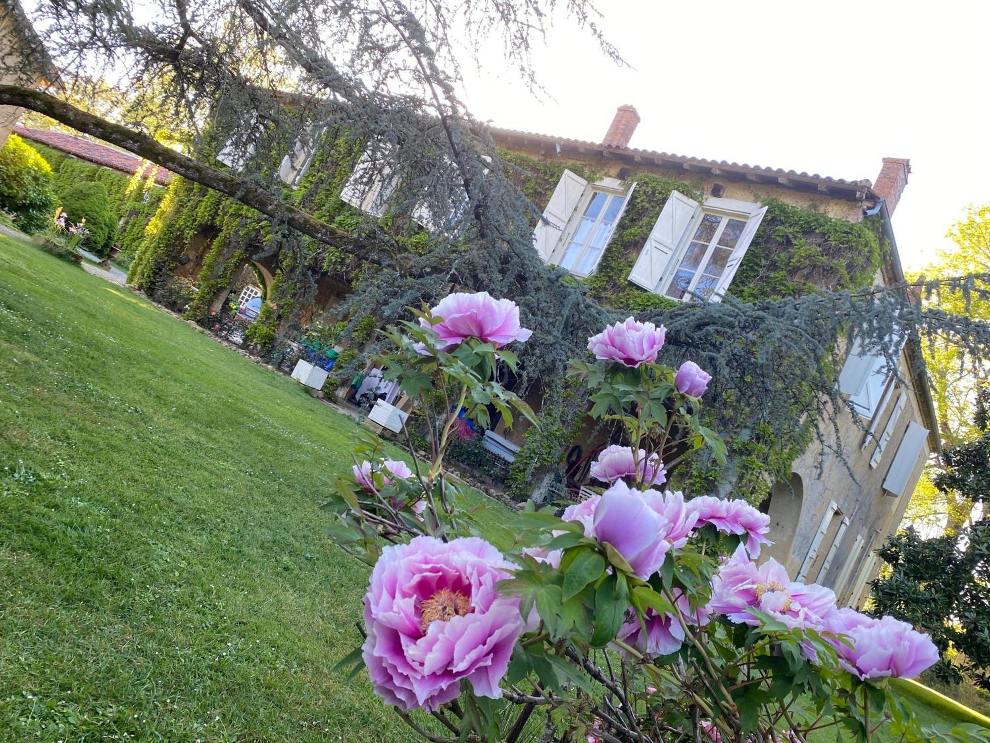 La Seigneurie De Tillac Exterior foto